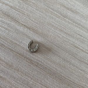 Horseshoe Charm